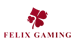 Dostawca Slotów Felix